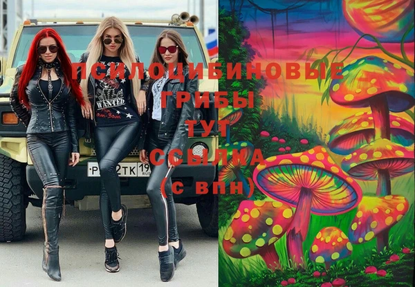 мескалин Карпинск