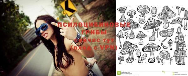 MESCALINE Каменка